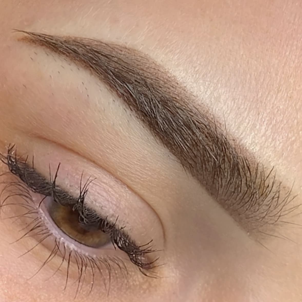 Combo brow results by Hoshi Studio